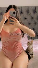 Riddhi6 Delhi Transex Hey Guys,

I am your Dear Riddhi

⭐️⭐️⭐️⭐️⭐️⭐️

Only prefer classy gentlemen!! who know how to treat a T-girl 🌺

✈️international Travel Escort🌍

Please no Bargaining with me as I decline ur Appointment 🚫❌

Strictly NoOo to those who ask for 3k,4K 🚫🚫 clearly not interested in them 🚫🚫 they can find others 👐

-International travel, incall & outcall to major hotels only!!!!  🏨

Advance is must to confirm your booking❗️❗️

-If you contact me be a serious inquire else you will be blocked Directly ☑️

-Dont call me using an internet phone !

I’m very selective in who i spend my time with.

7 INCHES VERIFIED !! OFF HORMONES HERE !!

Yuppp..that's me,more hott than pics.. Riddhi👸

THE REAL N HOTTEST ❤ SHEMALE BACK IN Delhi I,ll SERVE U AS A SHEMALE. .NOT AS A GIRL. .EXPLORE WILD ME.
Here to fulfill ur ultimate fantasy of having extremely fun ... As am Extremely professional for my Work 😘

can hv ball time with me❤

Got new 42D boobies nd my sexy 7.5 inches uncut Dick 🍌🍌
only highly sophisticated people...
who wanna play with my long tool.. ..so please no loose talks....

Love all I'm in Delhi So only elite men welcome.who can afford 4-5 digit sum, others please don't even call me ..
n yes..domination guaranteed!👠

yuppp.... I m ready to travel any country or city with humongous Charges 🛫

I look the same as the pics...So come without hesitation

I am in Delhi now, here to fulfill your dreams, have very good experience to make your all fantasies and dreams comes true. I am feminine, charming, passionate, friendly, educated and classy with voluptuous curves (Real  Boobs 42Ass ), white and smooth skin for your pleasure

I do take both Incall / Outcall and Video Services and do entertain only real and genuine people who respect my precious time. Time passers please be away otherwise you will be blocked.

I am also ready to travel on international locations (Outside India) if anyone has money to spent on their luxuries/Fantasies.

If you are first timer then no issues because i will take great care of first timers as i am very patient and gentle.

I am quiet friendly in meeting with people so those who are looking out my company you will not be disappointed that can be rest assured.

All my pics are real and genuine rest you can judge after the meeting.

* Your discretion is expected, your privacy Respected

* Please be hygiene conscious

🎀 MISTRESS

🎀 BDSM 

🎀 GIRL FRIEND EXPERIENCE

🎀 BODY TO BODY

🎀 RIMMING ON ME

🎀 GOLDEN SHOWER

🎀 PASSIONATE KISS ( non smokers ) very choisive!

🎀 SISSY MAKEOVER  SESSION ( On Demand)

🎀 ANY REQUESTS LET ME KNOW!

🎀 Foot Fetish

🎀 Roleplays

and much more......

call me or contact me on my whatsapp for more details

I do take advance 500 for incall sessions for confirmation 

Love you All
Riddhi ♥️