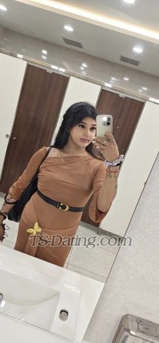 trans girl Rose9804 1277888