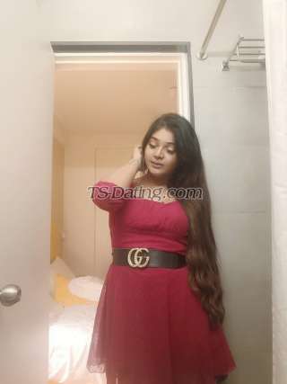 trans girl Rose9804 7115987