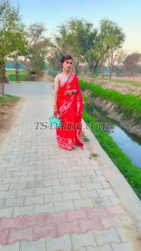 trans girl Roseangle 2038675