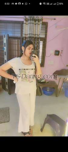 trans girl RoyalSimmi 2557574