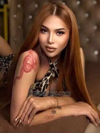 Shemale Royallicious 1722093 Shemale Royallicious 1722093