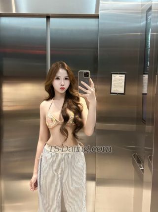 trans girl rarindae 4827100 trans girl rarindae 4827100