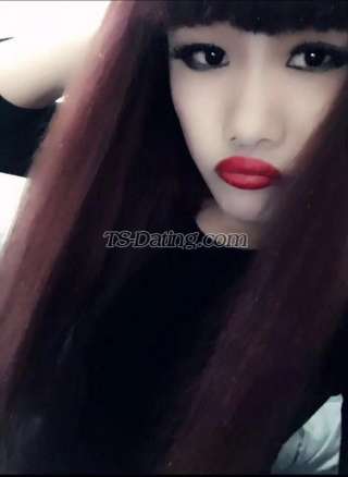 trans girl renyaoqiqi 4526390