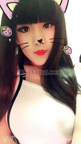 trans girl renyaoqiqi 4526463
