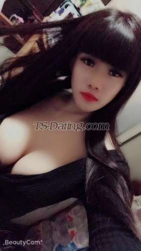 trans girl renyaoqiqi 4861046