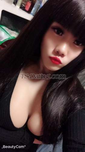 trans girl renyaoqiqi 4863672