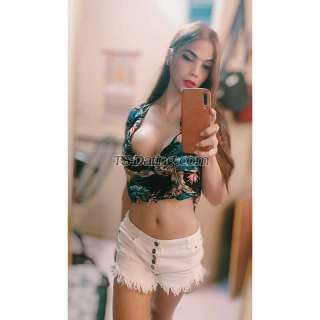 trans girl roxieuy 4556579