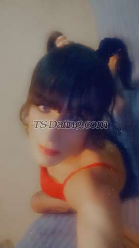 trans girl S1SSYS1UT 9845465