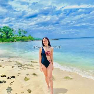 trans girl SAMCAMSHOW 5392169