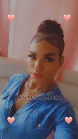 SARA CAMPUZAN Cali Transex Hello, my name is Sara Campuuzano, I am a very naughty, sensual and extroverted trans girl... open-minded, versatile without limits.

HOT VIDEO CALLS AND SELLING MY BEST VIDEOS HAVING SEX

I go out to restaurants, cinemas, clubs, shopping 🎁 motels, cabins, hotels, houses, farms, 

I love playing with my body and using all my exotic toys
sexy outfits, lingerie, heels, latex and much more 

Write to me and you will know more about me
I answer calls or WhatsApp 💋

hola mi nombre es Sara campuuzano, soy una chica trans muy traviesa, sensual y extrovertida...de mente abierta versatil sin limites.

VIDEO LLAMADAS CALIENTES Y VENTA DE MIS MEJORES VIDEOS TENIENDO SEXO 

salgo a restaurantes, cines, discotecas, de compras 🎁 moteles, cabañas, hoteles, casas, fincas, 

Me encanta jugar con mi cuerpo y usar todos mis juguetes exóticos
trajes sexys, lencerias, tacones, latex y mucho mas 

Escríbeme y sabrás más de mí
respondo llamadas o whastapp 💋