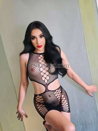 trans girl SEXYMEVIP 7585736