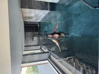 trans girl SabrinaXavier 2353865