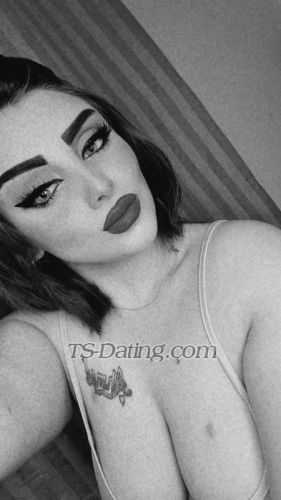 trans girl SalyQueen 3699562 trans girl SalyQueen 3699562