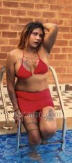 Samantharoy Bangalore Transex SESSIONS ONLY FOR HIGH PROFILES ONLY
     NOT FOR LOW BUDGETS STRICTLY 

PRICE DEPENDS ON UE FANTACY ND DURATION OF HRS ⏰

Note As watsup is blocking, only available on telegram @Roy3984 My pictures are 💯% genuine first chq my  Tweeter or X and Official me don't forget.

💥official.me/divya_roy

💥Fetlife @divya_roy1078
💥Reddit u/Born-Fun3552
💥X ID @divyaroy1078
💥X ID @samantharoy1078
💥Telegram I'd @Roy3984

EVERYONE OUT HERE MIGHT HAVE A BDSM KIT BUT ONLY A MISTRESS KNOWS HOW TO USE IT...

TS_Samantha Roy 👠 with 38 Boobies 🍒 7.5 🍌 tool nd thick cum 💦 well Experienced Professional Domentrex 👠shemale for Real Meet 💋

Nothing is impossible Everything possible

Introducing dungeon nd studio with cage Room for only professional subs👠👠👠 not for first timers nd price nd session different
👠👠👠💥

Role play offers ✅ 
👇👇👇
1. Teacher and student.✅
2. Hot Yoga Teacher.✅
3. A stranger✅
4. Cat women.
5.Step Brother and Step sister.✅
6.Abusive (English also).✅
7.The classic maid✅
8.Boss and employee✅
9.The stars of your favorite movie✅
10.The control freak✅
11.Bondage I'm here for you bitch
12. Nails play slapping
13. Degradation
14. Humiliation
16. Physical &mental torture
17. Cockhold
💄BIG COCK 7.5 INCHES
💄BDSM ALSO AVAILABLE
💄Roleplay Session.
💄GIRLFRIEND Experience.
💄 BDSM SESSION.
💄 Dominant mistress.
💄Foot fetish with golden shower
💄Human sink Domination
💄Ass to mouth Domination
💄Ass Fisting entire hand in ur Glory Hole 
💄CBT, PEE HOLE INSERTION ,chastity  cage 🔒
💄Electric shock for ue 🍌 nd ur 2 little small nuts 🍒 which is useless nd u dont deserve dat. 
💄Food domination Food🍓🍟🍔🍕 chew spit in mouth
💄cigarette Domination
💄Cockold session avilable if u hav a.
Partner
💄Couple service Available in real only not cam Sessions for privacy concerns
💄Lesbian service only Real (No cam)
💄Dirty service to. Extreme also. Available Scat 💩 💩 session also available
💄sex videos Domination videos for 2k 3 videos on telegram or watsup
Hd clarity videos 5k 4 videos

⚠️⚠️⚠️ BEWARE ⚠️⚠️⚠️
please don't pay for online session direct or any advance payment as they using my pics blocking plz b aware of such froads after face confirmation on video call dn only pay and I dont send pics on watsup as scammers r misusing after chat u can vc 2sec for face confirm.
⚠️⚠️⚠️ BEWARE ⚠️⚠️⚠️

Note. All service depends on wat u require ue Fantasy nd hours of duration acording to Dat

💄 Video call service/Cam Service available
Note. All service depends on wat u require ue Fantasy nd hrs acording to Dat.

Kindly mention what kind of services you want.

Time passers will not be entertained.

Beware of fake profiles and scammers who fake my identity on facebook /twitter /insta /fetlife /collar space. Do Not Get scammed.

Only genuine n real clients please Contact me through whatsapp