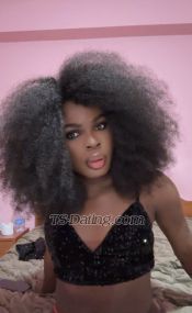 Sandra58 Amsterdam Transex beautiful 24 year old trans for the first time is for a few
days🥰a 24 year old doll transvestite masseuse with
an angel face but extremely transgressive, always elegant,
lingerie and heels at ... now in Catania if you are good, I
will know? make you experience the maximum pleasure and the
maximum transgression. I love cleanliness, tranquility? and
kindness. I am a super doll, very sexy and erotic, with a
breathtaking body, a volcano of transgression. strawberry
mouth, lover of spicy foreplay. very available for
everything you want. call me and I will inform you? about
everything. dream bottom, and 21 excellent reasons to come
and visit me. very complete, for many spicy and
transgressive games. very available for spleen