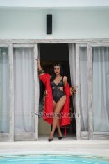 Sarah1605 Bali Transex Hi Gentleman Im SARAH The Faboluos and Stunning Trans woman from sweet to naughty make your dream come true, im here ready for make you will try about girlfriend experience with Trans just got home from work .. 

Im Friendly, Goodlooking , Sweet , Extrafeminine ,and very Classy but Fullyfunctional Love be bottom and like being Top .. 

Provide to :
 . 🚫 NO BAREBACK
 . BDSM
 . Special private party and fun 🧊🧊
 . Can show payment ( Paypal & Skrill )

Im sure you will back for more :) 

IM :
* traveling 

* mixed 

* muslim

* cut dick 6inch


* I can speak English , Arabic , Indonesia 

Love SARAH

call me now