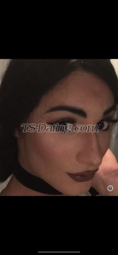 trans girl Sarahabibi 7719535