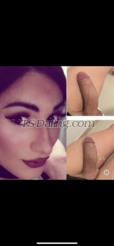 trans girl Sarahabibi 7719663