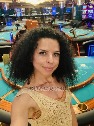 trans girl SashaFerrari 2819294 trans girl SashaFerrari 2819294