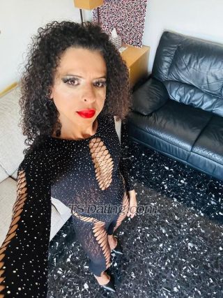 trans girl SashaFerrari 2820385 trans girl SashaFerrari 2820385