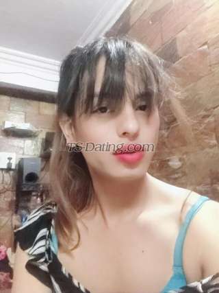 trans girl SashaQueen 3532284