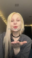 Sashakiss Tbilisi Transex Hi, I'm a transgender girl.  I can come anywhere in the world. Right.  Cheerful and sexy.  I can meet you and spend time.  I sell my interesting videos and I can do something interesting on a video call.
https://fansly.com/Samanthamiasnik


