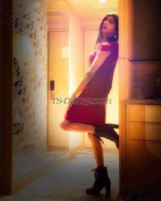 trans girl SassySasha17 2982354