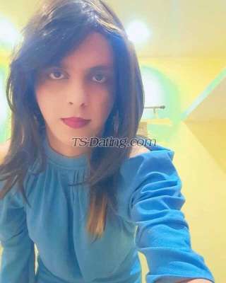 trans girl SassySasha17 2982387