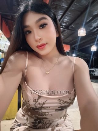 trans girl ScarletRose 6932075 trans girl ScarletRose 6932075