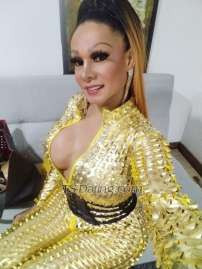 Selena Viscar Bogota Transex Soy tu  sueño hecho realidad toda una mujer con pene
realiza conmigo todas tus fantasías más íntimas descubre
la diferencia entre ser y prometer. Conmigo vas por lo
seguro no perderás tiempo ni dinero, mi departamento sin
portería y seguro para que te relajes y disfrutes de mi
rico cuerpo. Soy adictiva si me pruebas querrás repetir Mis
medidas 1.73 cm de alta peso 65 kilos ojos negros cabello
negro senos 46b dotación 18 cm gruesa rica... Tengo 43
Añitos lo mejor del tercer
sexo




servicios de
videollamadas

Trato de novios especial u
dominante

Besos

Masajes relajantes o
eroticos

Oral

69

Beso
negro

Sexo anal

Penetracción
mutua

Fetiches

Fantasías

lluvia
dorada

lluvia blanca

Fiestas
blancas

poses

morbo

tarifas
conformes para un excelente servicio, elige calidad no
económia

24 horas
disponibles



para hombres solventes