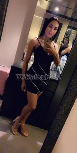 trans girl SexyAndrea24 3324628 trans girl SexyAndrea24 3324628