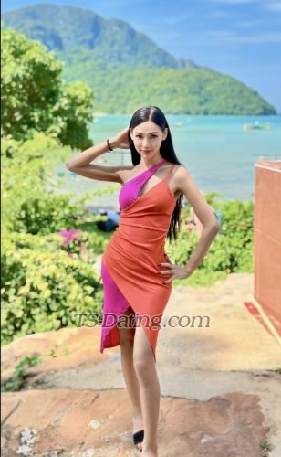 trans girl SexyJenny24 4361099 trans girl SexyJenny24 4361099