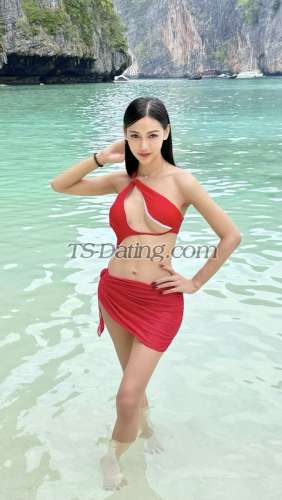 trans girl SexyJenny24 8669637