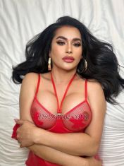 SexyKaraXXX Dubai Transex The Best ladyboy that you will never forget.The most
Requested and Best among The Rest.I'm your Gorgeous
Babe Kara.From Philippines.5'8 Tall,Big Soft Boobies.
6inch Strong Hard Cock. easy to get Hard and Big and can cum
A lot in A session..(WHATSAPP) Plus 639 nine five 1 one
five 9 zero 8 zero.The Original FULLY
FUNCTIONAL.Beautiful Inside and outside. Even without
makeup😉💋WHAT YOU SEE IS WHAT YOU REALLY
GET👌👍A Very Easy Person and Very Open Minded.
First Timer are Very Welcome. and I Never Disappointed
Gentleman. Specially First Timer.I always make sure
that. 👌👍+ They Always said I Look More Gorgeous
In Person.if you want to see that i am REAL CALL ME (
Videocall)Sex Services
Provided,VerSaTop.Fully Functional TS. Can Do Very Good
Top, I Easy Get Hard and Big and i can cum a lot in a
session.Sexy Tight Smooth Clean Saved Ass, You can
fuck. Lick as much as you want. Let's fuck and suck like
there's no tomorrow. I can Cum hands Free if you
Good👌No Rushing.I Hate Rushing.Let's Enjoy
Together. choose the best that you will not waste your
time.I assure you that.the moment with me are full of
happiness and real satisfaction. i will make your day/night
unforgettable.let me give you the real meaning of
satisfaction.NO to cheap offers I know my
worth.Book me an hour before meeting.Offering Live
CamShow. via Paypal/Apple pay/bank transfer/Rate
👇Incall-2500Outcall -5000 Maximum of two
hours.Negotiable I'm Staying Alone in a
cozy,clean,Discreet place.📍Dubai