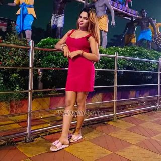 trans girl SexyRoxy 9856879