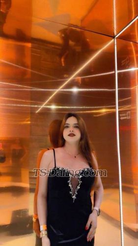 trans girl SexySaniya 5775942 trans girl SexySaniya 5775942