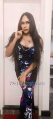 Sexy Shila Bangalore Transex Sexy mistress SHILA( only high profile clients contact me)
Is there for all kind of slavesBe ready ur self
for heart kind of BDSM assaltI like to be dirty kind of
talking and torture my slave till he tried on my feet       
                                  I am a very nasty
kind of mistress           Who gonna make your mind and
body satisfying with my dirty role playSo bang on all u
dirty slaves for me I am going to be your mistress for your
whole lifeI am going to control you totally your mind
and your body is in my control if you are break any of my
rules then you are be punished sexually different kind of   
 golden shower on your face and your body is waiting for you
that and you have to swallow it without any regression , I
like to be to make my slave like a dog treat you like my
little pussy cat and punished him till he cry for his
freedom,             ( that's for my favourite kind of
BDSM service specially for my slaves)                  
If feel sometime for romantic sexual experience then I have
all pleasure making sexual satisfy romantic sex date for
youHusband aur wife kind of experience make your mind
and body satisfying services,.                         
                  I'm all so a very kind person In
general depends on you that how you are one from
meExperience and normal sexual life on it different
kind of sexual pleasure that you think on your dream