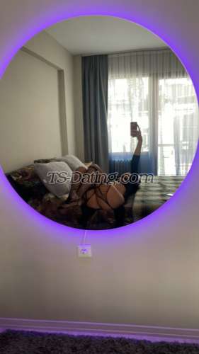 trans girl SexyTilly 2382253 trans girl SexyTilly 2382253