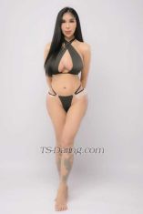 Sexy mj Taipei Transex Hi there,I’m MJFrom philippines and half
chineseA classy independent lady boy  Escort in I’m
well dressed and well educated. Love to be in the company of
some fine gentlemen. I am  a
Sensual,sexperienced,sophisticated who adore sex &
men.And i know exactly how to give a man total
pleasure.~>I provide incall and Outcalls to
hotels.( good quality hotel only ) ~>I provide
full GFE, sex in all position with full romance. I will be
your best ladyboy service that will guarranted you a good
service that your body needs.“Sex service
includes:”Fucking,RimmingSucking,Kissing &
more!Would you like to expirience an awesome massage to
get rid of that day to day stress?Then get in touch
with me You might be a business woman or a holiday
traveller or a local resident who would want to unwind and
expirience a massage in a very special loving way.
~>Contact for info;Watsapp +85363263704
/+60142469874Wechat
;Janellalee15Prettyzhoujanelle1awesomeja
nellaPrettyLV15mjballesteros1515Janellapretty
                                          
Line janellaleexianLine
zhoajanellaprettyLine transjanellaaLine 
itsjanellaprettyyLine itsjanellaprettyI’m ready
now message me for more details and information