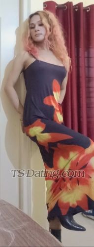 trans girl Sexyna 8642958