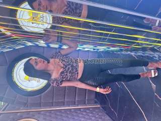 trans girl Sexysamayra 4551377