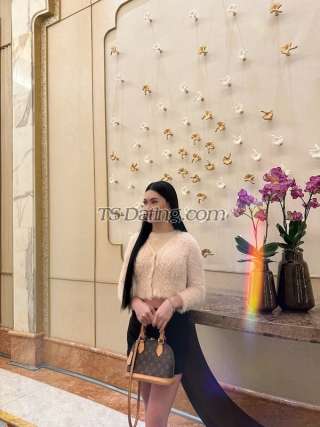 trans girl Sexytransteph 4944573 trans girl Sexytransteph 4944573