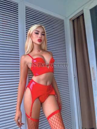 trans girl Sexytranswoma 2646852