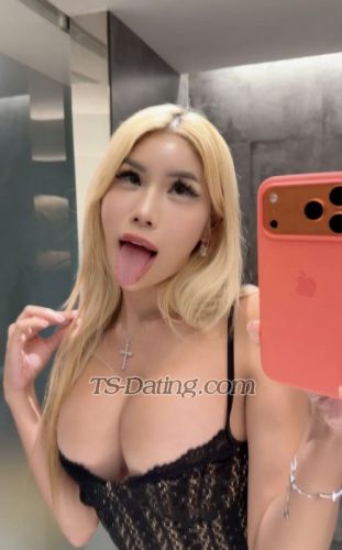trans girl Sexytranswoma 9837093 trans girl Sexytranswoma 9837093