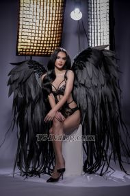 ShachaX Phuket Transex Привет, я ша (природа 1000% и без приложения для распознавания лиц или искусственного интеллекта) Мне 23 года, я из Таиланда 🇹🇭 Теперь в Таиланде 🏝️ Не хирургическое вмешательство и 100% оригинальное лицо тайского ледибоя (только филлеры и ботокс) Напишите мне, если хотите узнать обо мне больше. Расположение в Патонге, частный отель на Пхукете и сейф Я уважаю всех людей и приветствую ❤️ одно и то же фото, потому что все снимки сделаны профессиональными фотографами и визажистами ❤️ можем сначала встретиться и выпить ❤️ высокое и спортивное тело 💖 сумасшедшие маленькие непослушные девчонки 💖Чистый и безопасный секс 💖100% здоров и ежемесячно проверяется на наличие болезней. 💖секс-игрушка доступна 💖верх и низ 💖прекрасный опыт общения с милой девушкой 💖милый и милый 💖путешествия по всему миру доступны вместе с вами 💖cusplay тренажерный зал пляж и здоровый образ жизни Можете подписаться или связаться со мной IG shachalisaaa Snapchat Sha2meow Телеграмма @shalixxxo WhatsApp +66803511087 и +66983565620