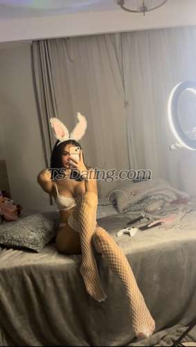 trans girl ShachaX 3878599