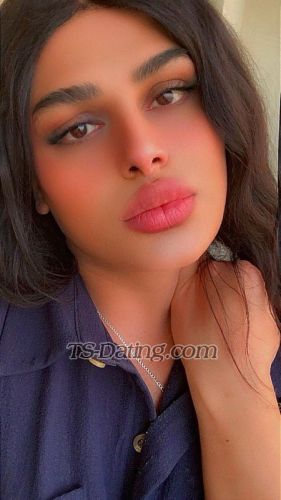 trans girl Shaghaf 3599672 trans girl Shaghaf 3599672