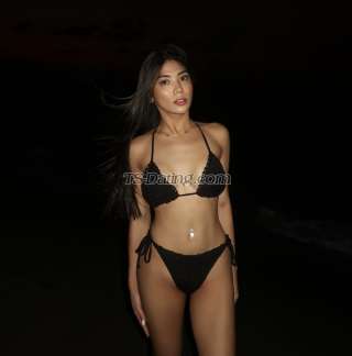 trans girl Shalee 6196499