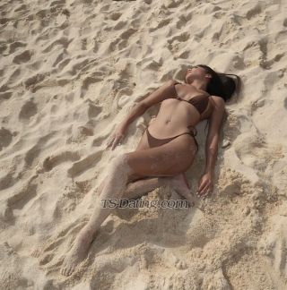 trans girl Shalee 8338611